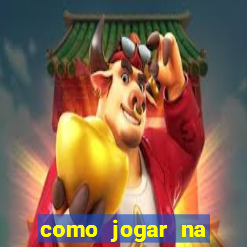 como jogar na teimosinha da lotofacil